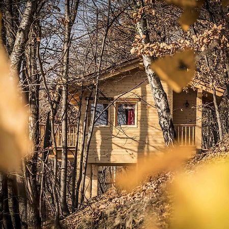 Вилла Il Nido Del Casalot Frassino Экстерьер фото